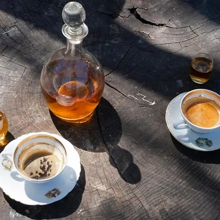 Kuca Pod Rudnikom * Trudelj